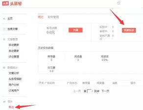 今日头条小说爆料群,揭秘热门小说背后的秘密与幕后故事