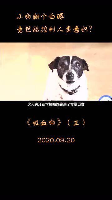 狗狗吸血鬼在线观看,神秘宠物奇遇记 第1张 狗狗吸血鬼在线观看,神秘宠物奇遇记 第1张